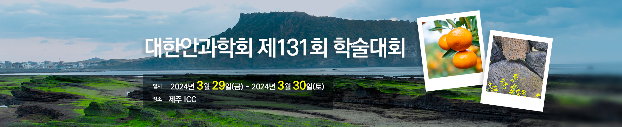 로그인페이지에 들어간탑 메인이미지